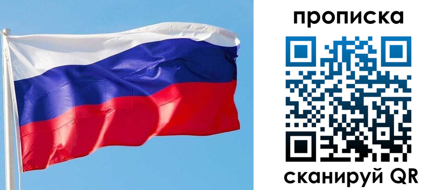прописка поиск в Электрогорске